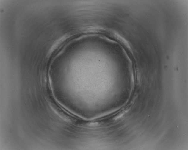 X0000074280059200609081837