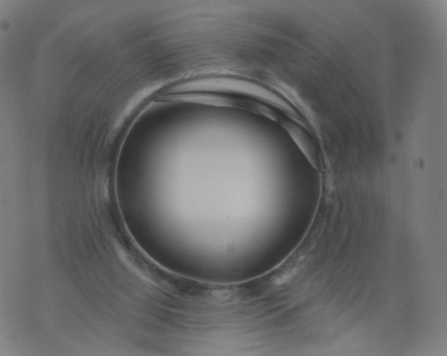 X0000074280060200609081837