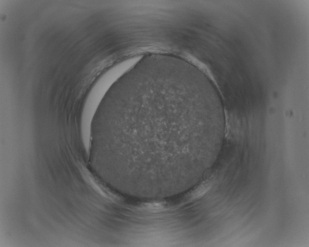 X0000074280061200609081837