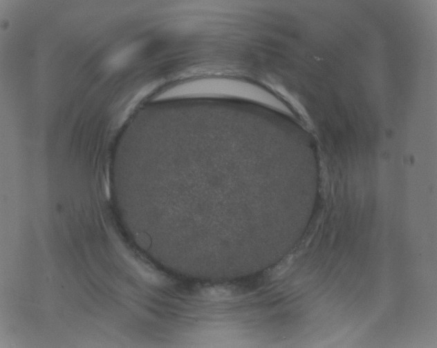 X0000074280062200609081837