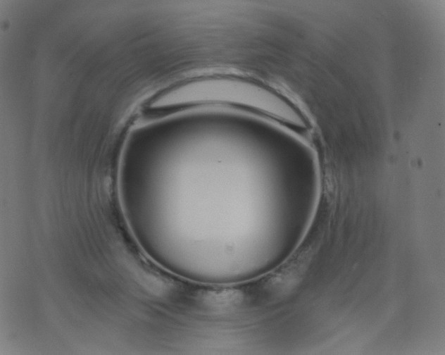 X0000074280063200609081837