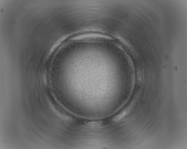 X0000074280064200609081837