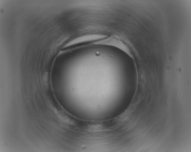 X0000074280066200609081837