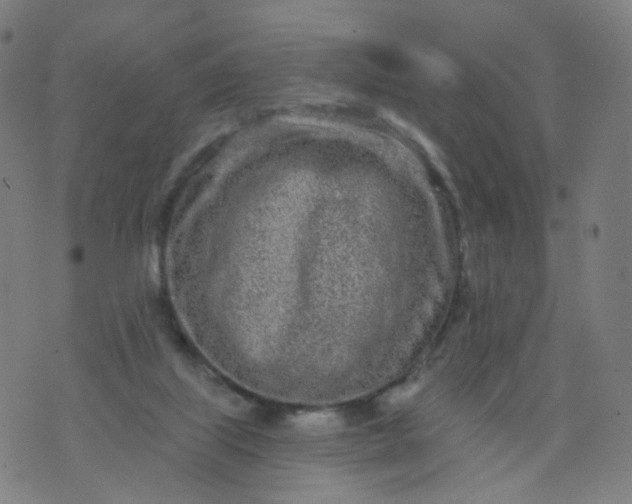 X0000074280067200609081837