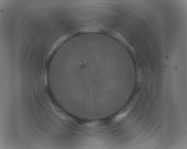 X0000074280068200609081837