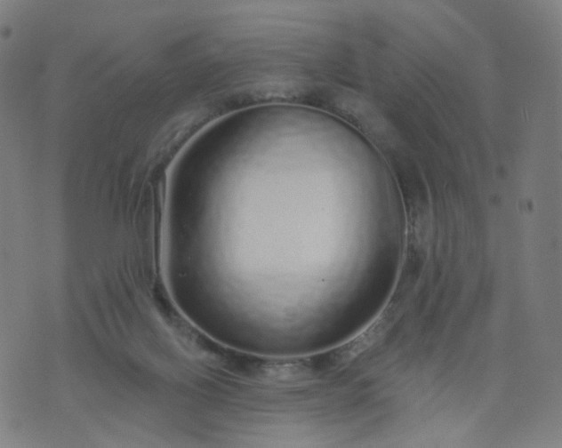 X0000074280070200609081837