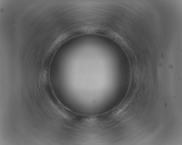 X0000074280071200609081837