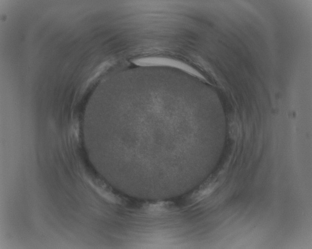 X0000074280072200609081837