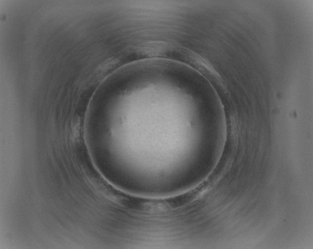 X0000074280073200609081837