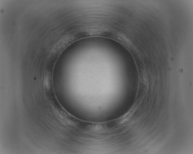 X0000074280074200609081837