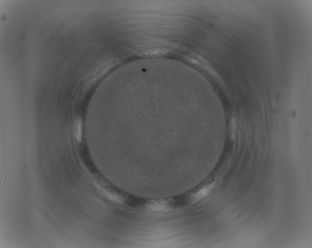 X0000074280076200609081837