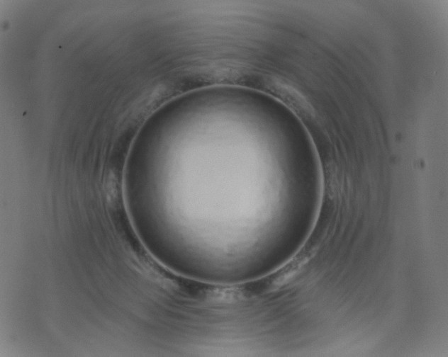 X0000074280077200609081837