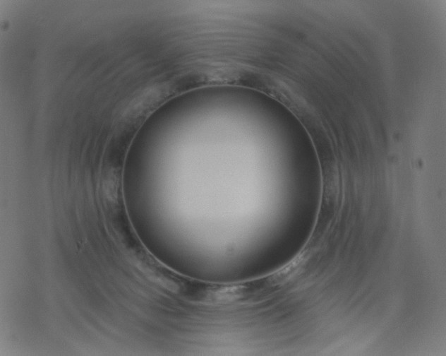 X0000074280078200609081837