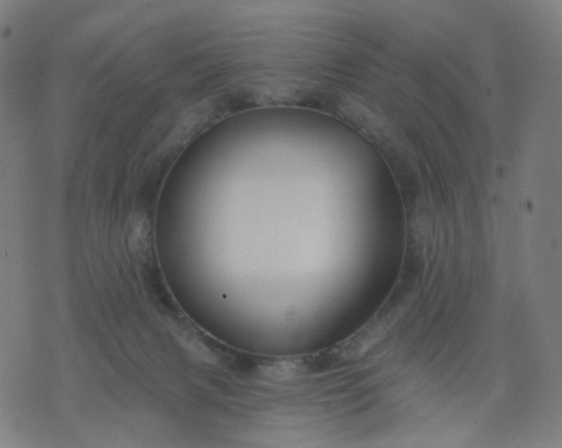 X0000074280079200609081837