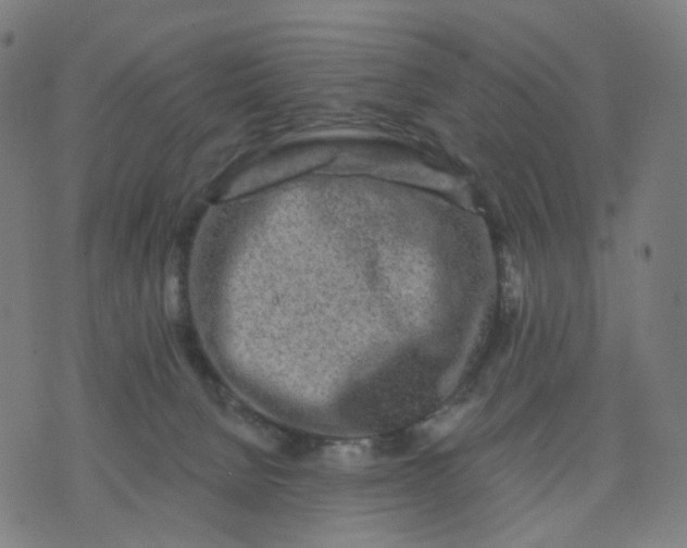 X0000074280080200609081837