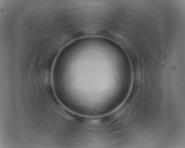 X0000074280081200609081837