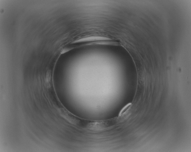 X0000074280082200609081837