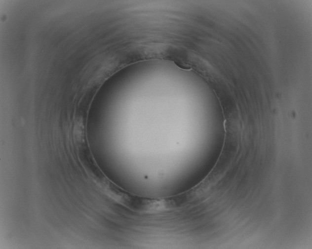 X0000074280083200609081837