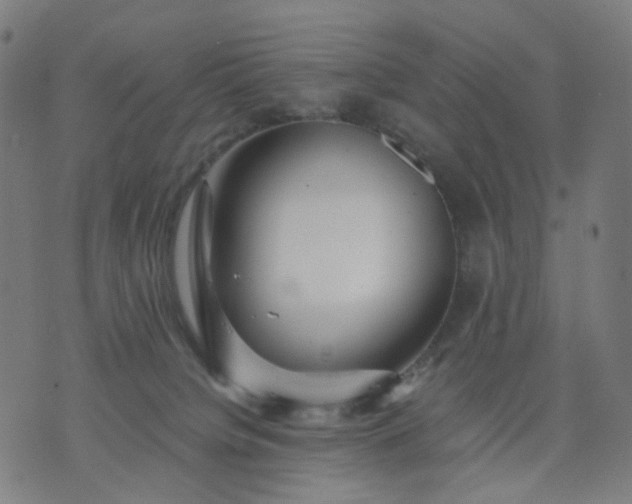 X0000074280084200609081837