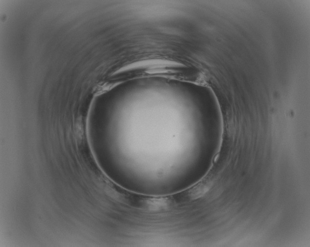 X0000074280085200609081837