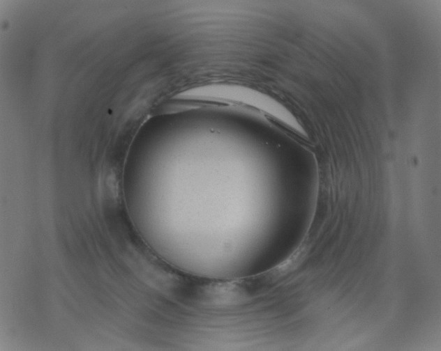 X0000074280086200609081838