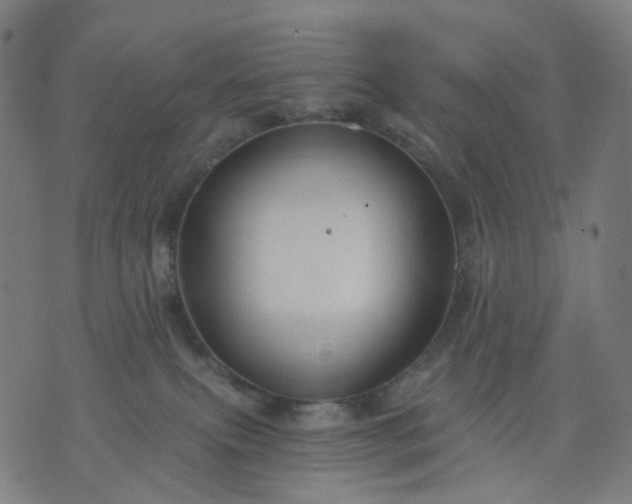 X0000074280087200609081838