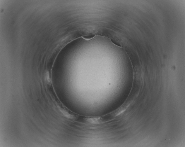 X0000074280089200609081838