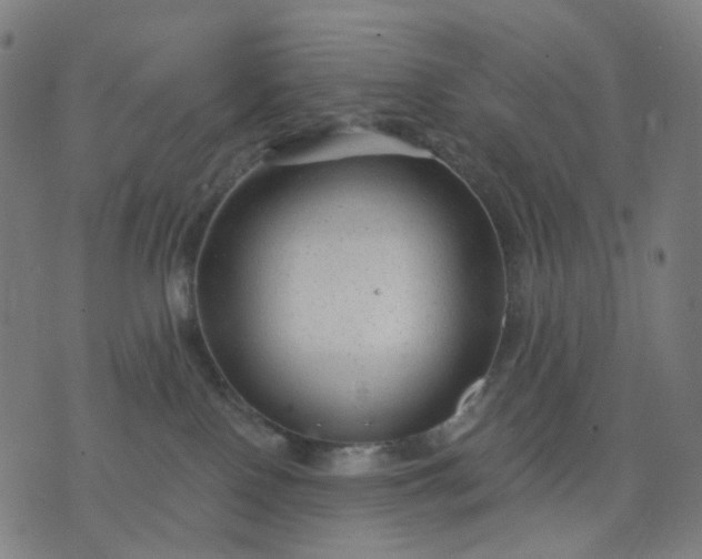 X0000074280090200609081838