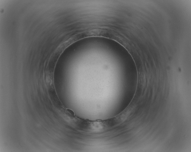 X0000074280091200609081838