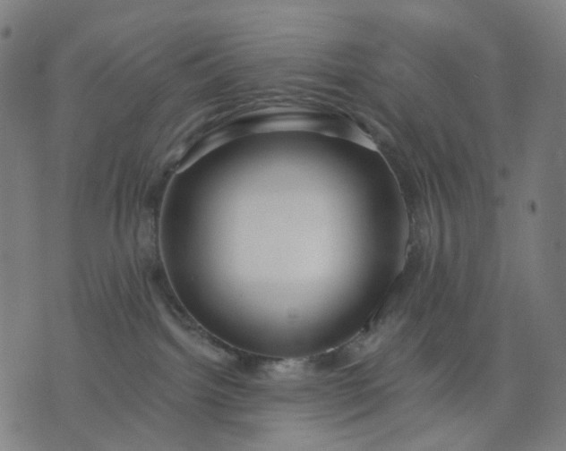 X0000074280092200609081838