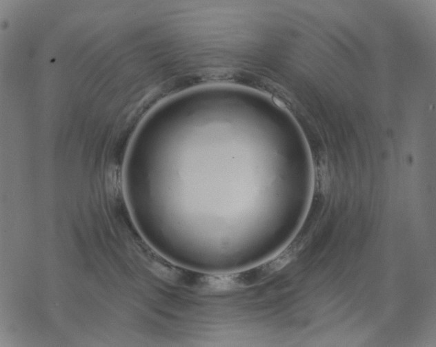 X0000074280093200609081838