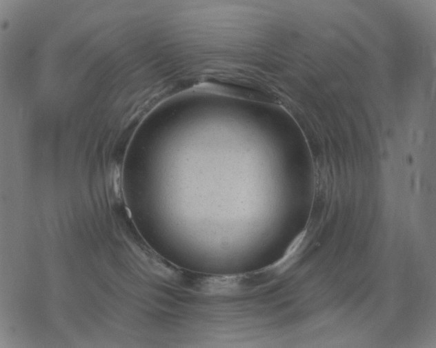 X0000074280094200609081838