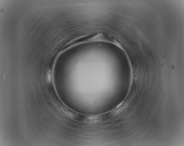 X0000074280095200609081838