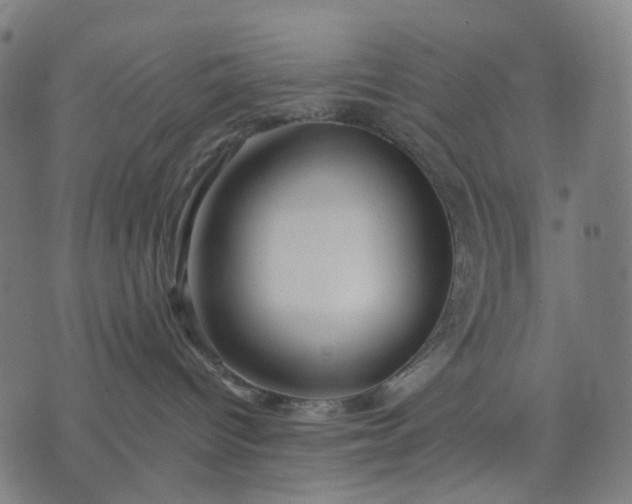 X0000074280096200609081838