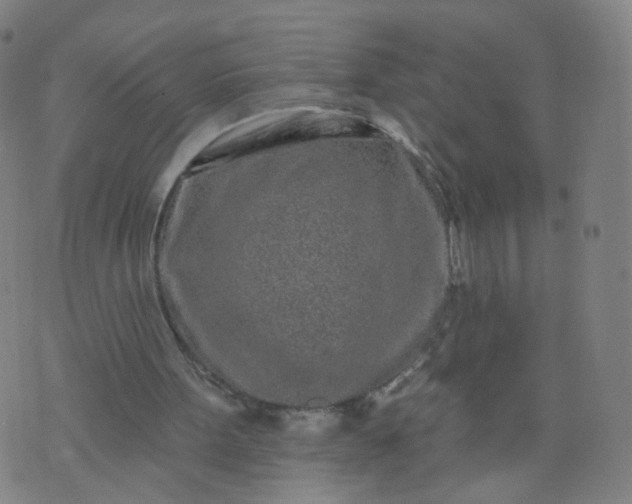 X0000074280099200609081837