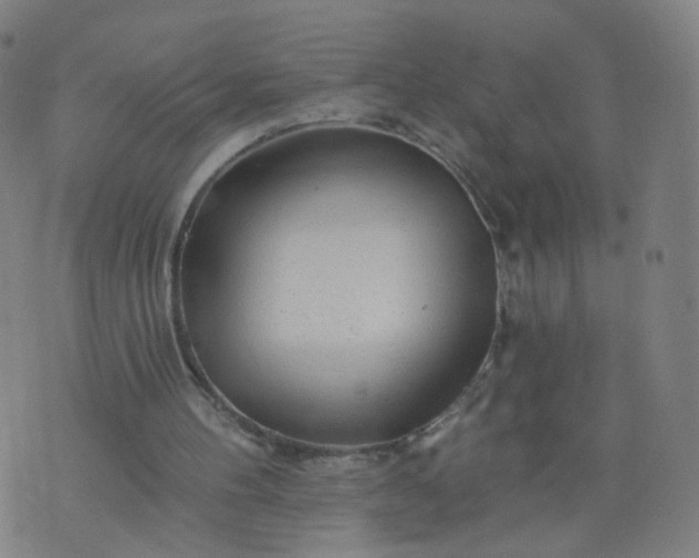 X0000074280100200609081837