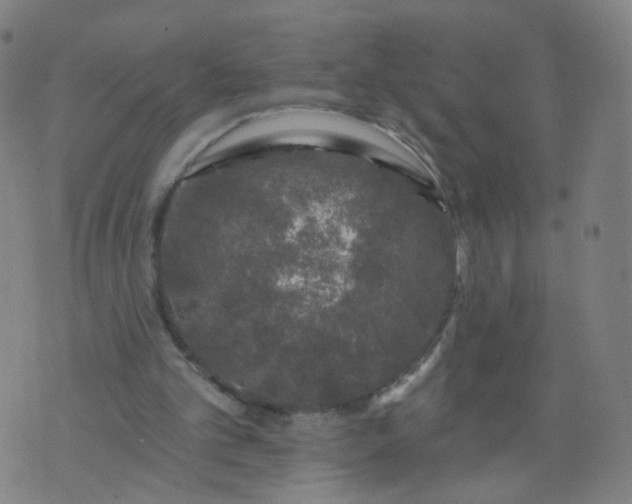 X0000074280101200609081837