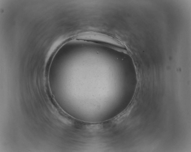 X0000074280102200609081837