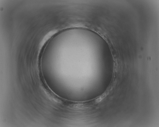 X0000074280104200609081837