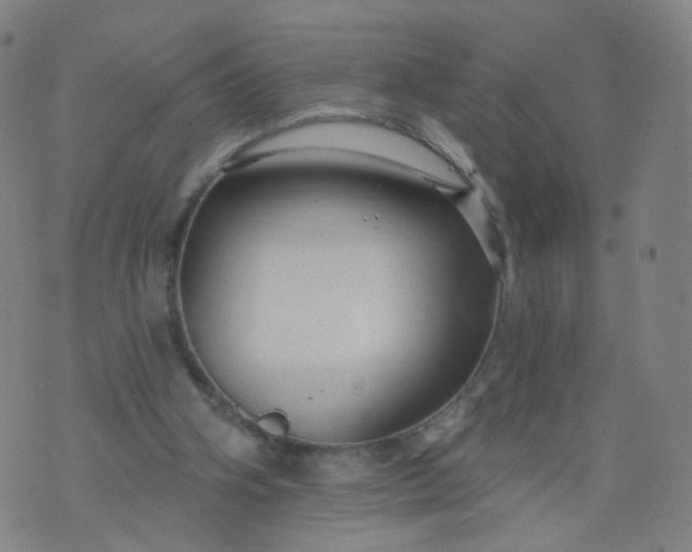 X0000074280106200609081837