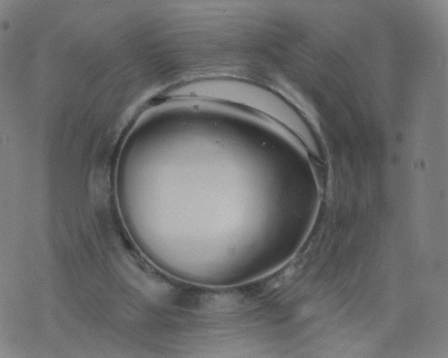 X0000074280107200609081837