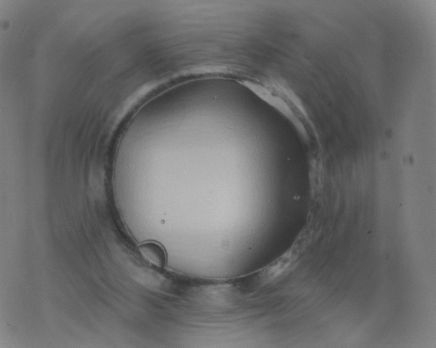 X0000074280108200609081837