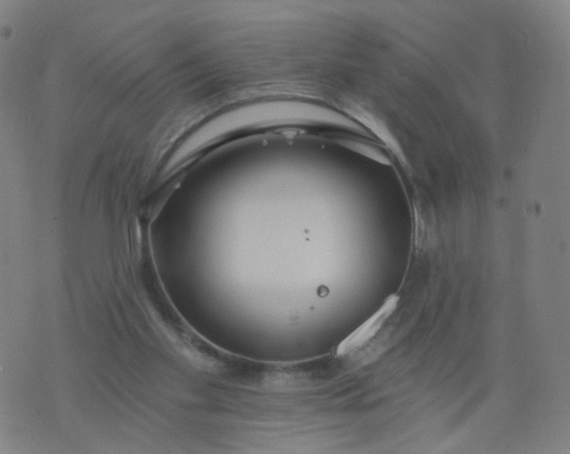 X0000074280109200609081837