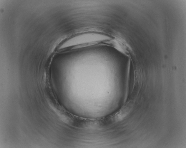 X0000074280110200609081837