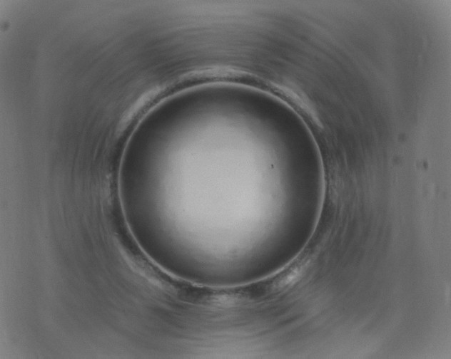 X0000074280111200609081837