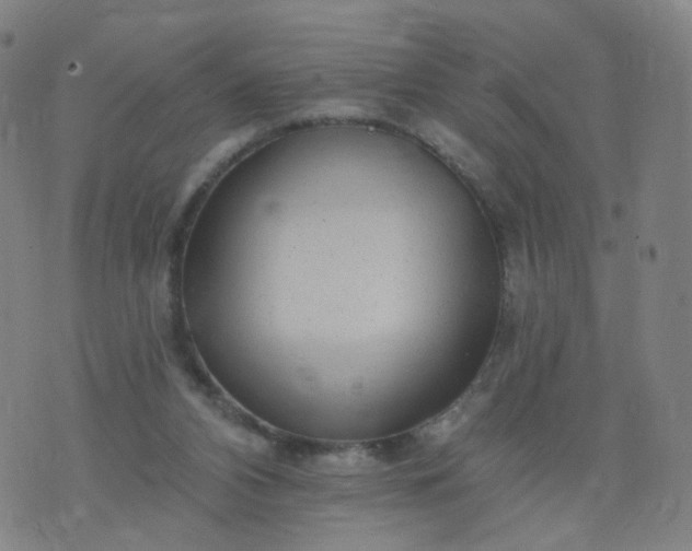 X0000074280112200609081837