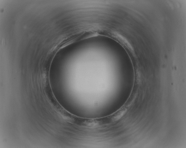 X0000074280113200609081837