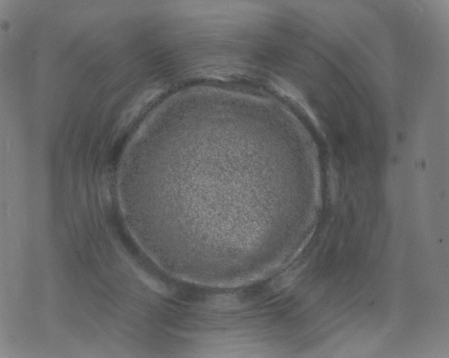 X0000074280114200609081837