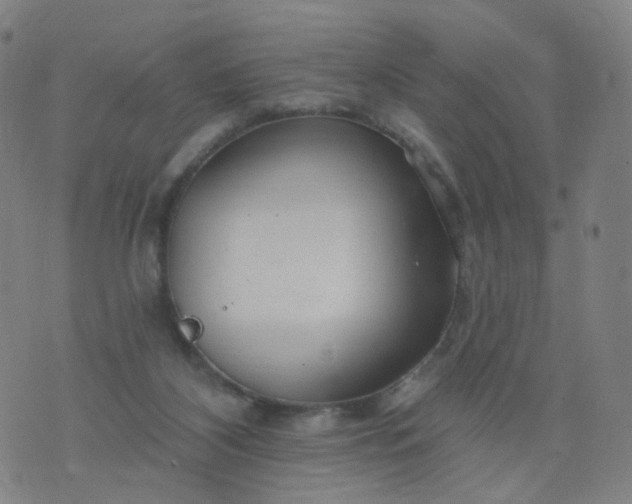 X0000074280116200609081837