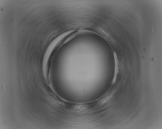 X0000074280117200609081837